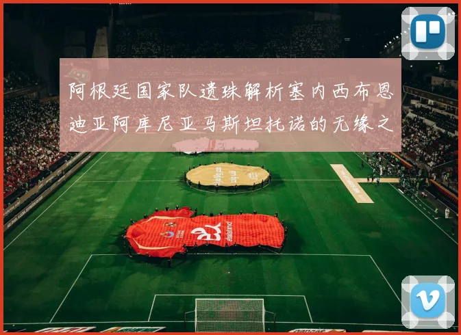 阿根廷国家队遗珠解析塞内西布恩迪亚阿库尼亚马斯坦托诺的无缘之路